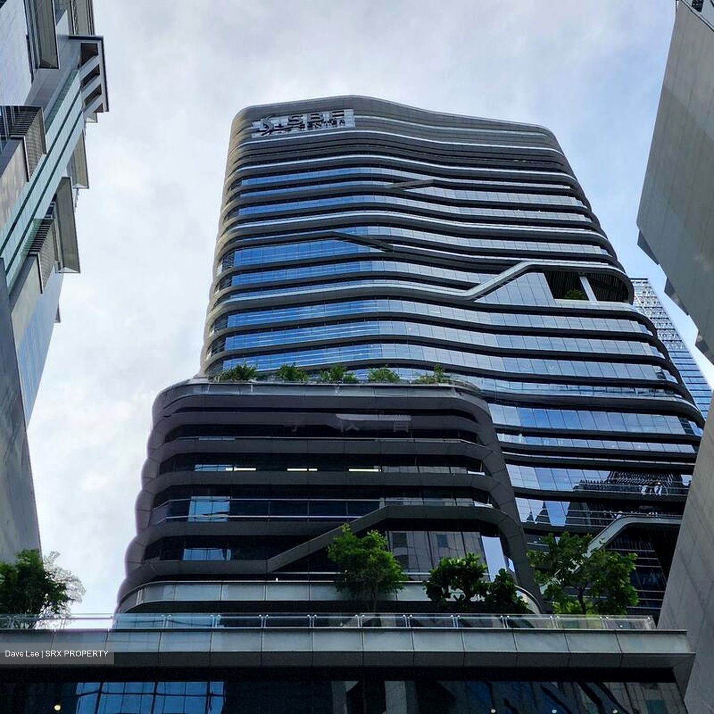 Sbf Center (D1), Office #496197571